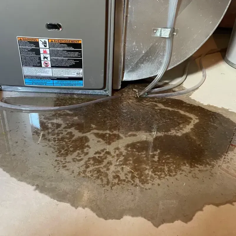 Appliance Leak Cleanup in West Garfield Park, IL